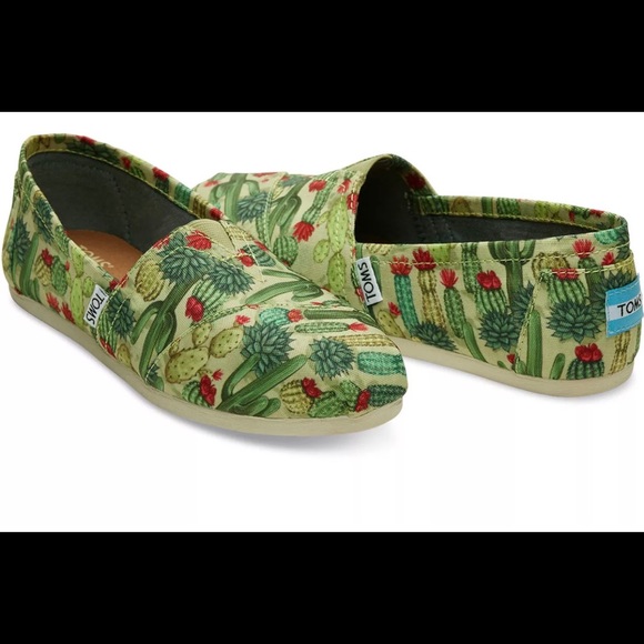 cactus toms shoes